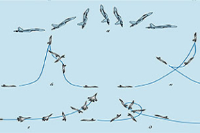 «Вираж, который взял режим, выглядит еще интереснее»