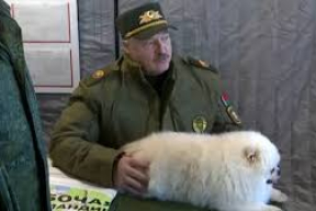 Класковский: «К четырехлетию большой войны Киев решил подпортить жизнь хозяину белого шпица»